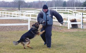 policjant szkoli psa służbowego w terenie