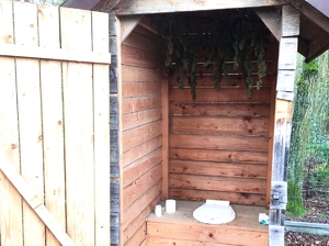 zerwane krzaki konopi suszą się w toalecie na sznurku umieszczonym pod dachem