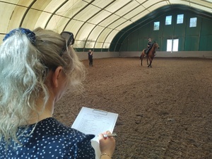 Egzaminatorka notuje w protokole, w tle egzaminowany jeździec na koniu