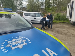 Policjantka i policjant podczas pokazu posłuszeństwa policyjnego psa