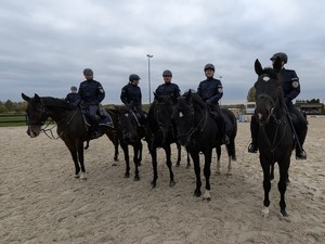Policyjni jeźdźcy na koniach