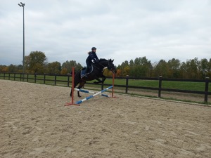 Policyjny jeździec podczas egzaminu