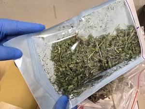 Zabezpieczony susz w opakowaniu foliowym