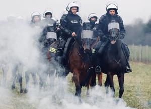 policjanci na koniach podczas szkolenia w terenie