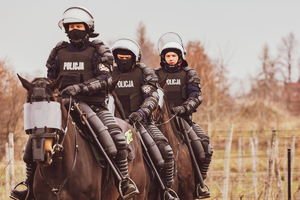 policjanci na koniach podczas szkolenia w terenie