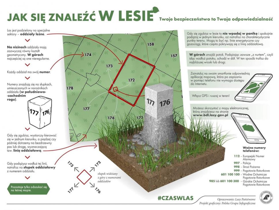 Fragment mapy lasu z naniesionym słupkiem