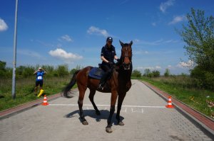 Policja konna.