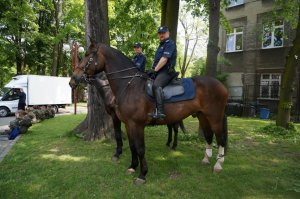 Policja konna.