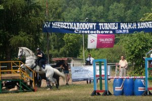 XV Międzynarodowy Turniej Policji Konnej.