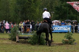 XVI Międzynarodowy Turniej Policji Konnej w Częstochowie.