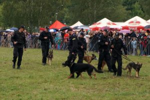 XVI Międzynarodowy Turniej Policji Konnej w Częstochowie.
