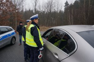 Policyjna kontrola.