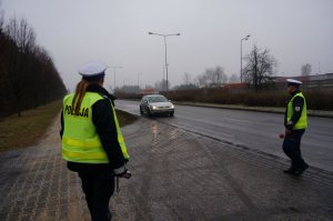 Policyjna kontrola.