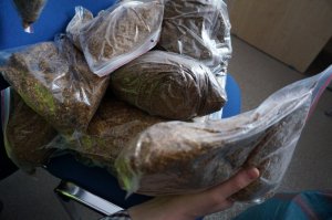 Zabezpieczony tytoń.