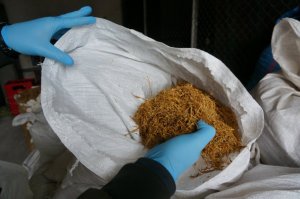 Policjant przy zabezpieczonym tytoniu.