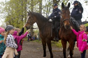 Policja konna z Częstochowy podczas akcji sprzątania zbiornika Michalina.