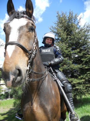 Zajęcia z policją konną.