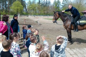 Zajęcia z policją konną.