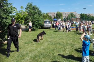 Dzielnicowi na festynie.