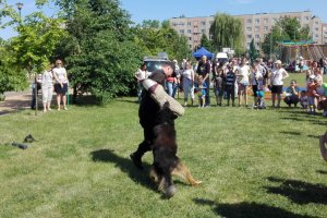 Dzielnicowi na festynie.