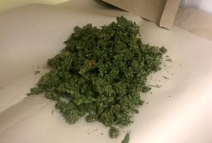 Zabezpieczone narkotyki.