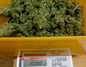 Zabezpieczone narkotyki.