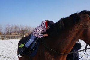 Częstochowscy jeźdźcy i honorowi dawcy krwi dzieciom