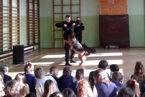 „Uwaga! Pies”. Sara i Rambo na prelekcji dla dzieci