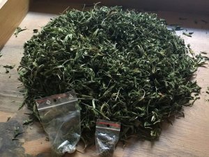 Zabezpieczone narkotyki.