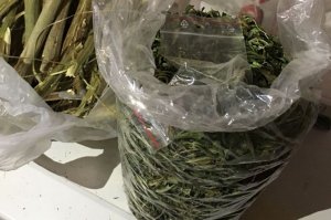 Zabezpieczone narkotyki.