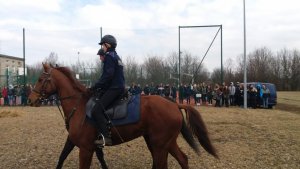 Sara, Hamish, Rambo i Widim dały pokaz swoich umiejętności