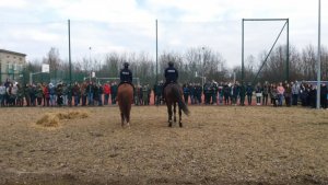 Sara, Hamish, Rambo i Widim dały pokaz swoich umiejętności