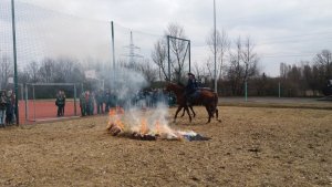Sara, Hamish, Rambo i Widim dały pokaz swoich umiejętności