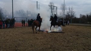 Sara, Hamish, Rambo i Widim dały pokaz swoich umiejętności