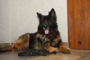 Policjanci z Częstochowy spełnili marzenie Oliwiera