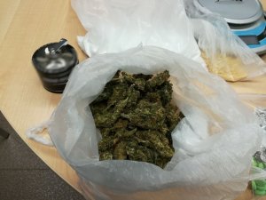 Zabezpieczony materiał dowodowy.