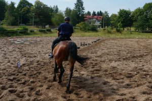 Częstochowscy jeźdźcy zdali egzamin II stopnia