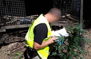 Zabezpieczone narkotyki