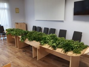 Zabezpieczone narkotyki