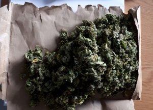 Zabezpieczone narkotyki