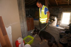 183 krzaki konopi i prawie 10 kg marihuany. Zdjęcia z miejsca zdarzenia.