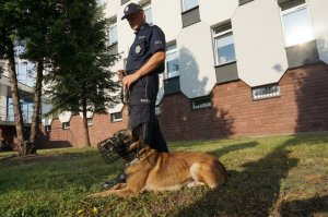 Policjanci i Piorun przed KMP w Częstochowie.