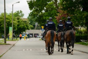 policjanci na koniach służbowych tyłem do fotografa