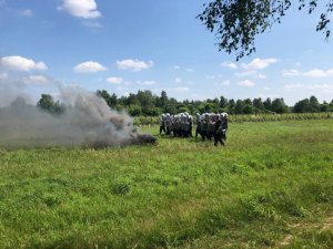 policjanci w szyku idąc jeden obok drugiego z tarczami ochronnymi w kierunku dymu