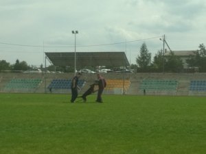 pokaz tresury psa na boisku sportowym, policjant z psem i napastnik