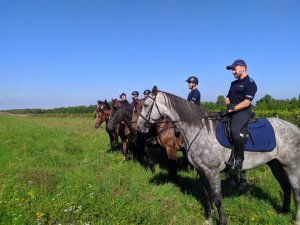 policjanci na koniach stoją na trawniku