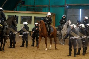 policjanci na koniach i w umundurowaniu ćwiczebnym podczas zajęć w stadninie