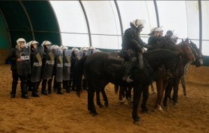 policjanci na koniach stoją przed szykiem policjantów z tarczami