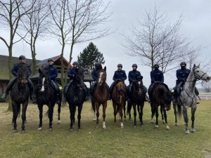 osiem koni policyjnych z jeżdźcami