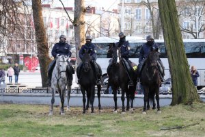 policjanci na koniach służbowych stoją na Placu Biegańskiego w Częsatochowie